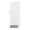 Freezer Vertical