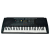 Organo Electrico